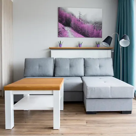 Apartview Bukowa By Rent Like *